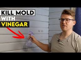 How To Use Vinegar To Kill Mold