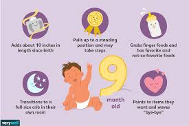 Your 9 Month Old Baby Development Milestones