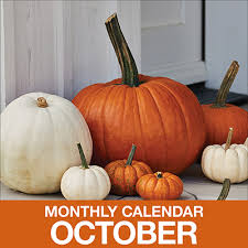 Gardening Calendar For October The