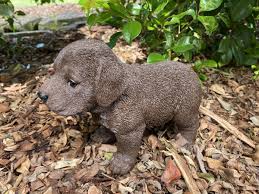 chocolate labrador dog puppy
