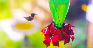 Hummingbird Feeder From A Glass Bottle