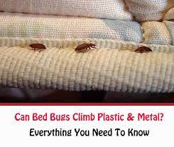 Can Bed Bugs Climb Metal Or Plastic