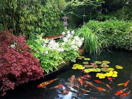 Fish Pond Or Water Garden To Your Land
