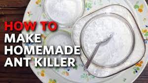 how to make homemade ant