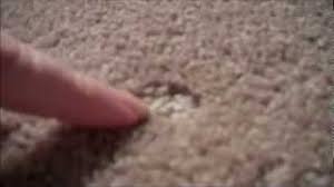 remove carpet dents left by furniture