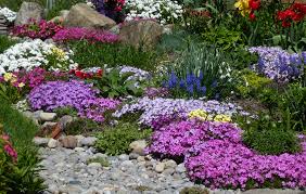 Flower Beds With Rocks