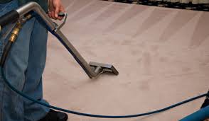 professional carpet cleaning service denver