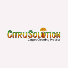 4 best canton carpet cleaners