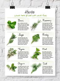 Quick Reference Herb Chart Dabbles Babbles