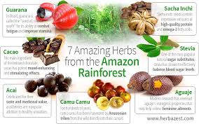 7 amazing herbs from the amazon