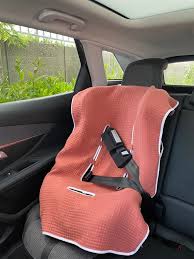 Baby Car Seat Cover Boy Easy Remove