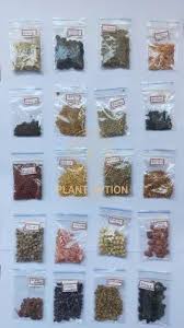 plant option vegetables seeds combo for