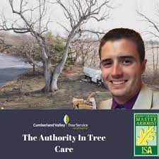 In order to apply to become a certified arborist, applicants must fulfill at least one of the following requirements. The Authority In Tree Care Evan Brumfield Isa Board Certified Master Arborist Cumberland Valley Tree Service And Landscaping