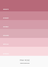 Pink Rose Colour Scheme Colour Palette
