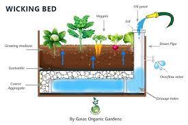 How To Make A Wicking Bed Gaias
