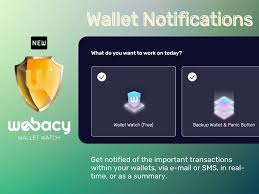 webacy wallet watch get notified of