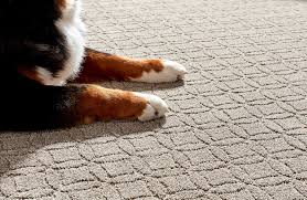 cur carpet trends in 2023 carpet