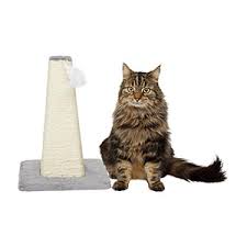 kitten cone shaped scratching post