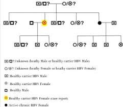 Family Pedigree Of The Mentioned Patient That Has Hbv