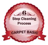 carpet cleaning basic package