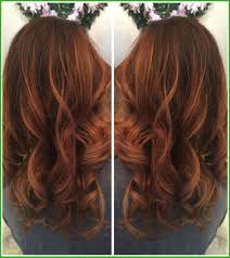 Hairstyles Chestnut Brown Hair Color Chart Exceptional