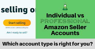 Individual Vs Professional Amazon Seller Accounts
