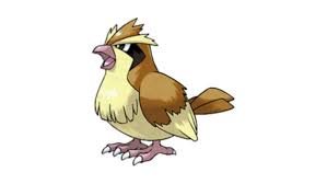 The Evolution Of Pokemons Starting Birds From Pidgey To