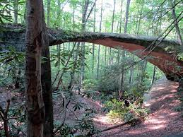 Hiking project is built by hikers like you. Pickett Hiking Tennessee State Parks