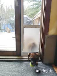 Petsafe Freedom Sliding Glass Pet Door