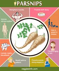 parsnip nutrition summary health