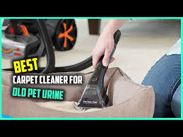 top 4 best carpet cleaner for old pet