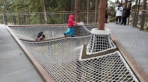 midland canopy walk at whiting forest