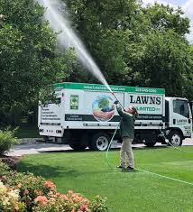 expert tree shrub care lawns unlimited