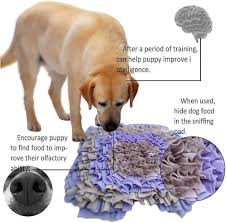 sniffing carpet for dogs smell exercise