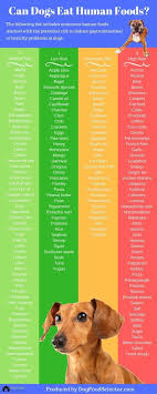 46 Timeless What Can Dogs Eat Chart