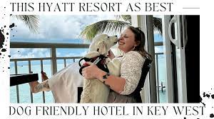 pet friendly hotels in key west