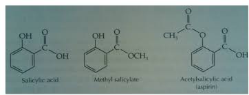 Overcoming Organic Chemistry Synthesis Of Salicylic Acid