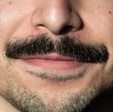 what your mustache says about you the