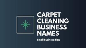 catchy carpet cleaning business names
