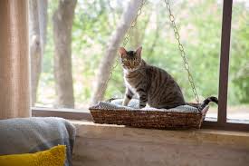 Diy outdoor cat enclosure or catio made from detachable wooden panels, this cat enclosure is easy to assemble and move around, in case you intend to shift in a new house soon. Diy Window Seat Basket For Cat Hgtv
