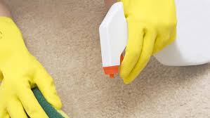 how to clean puke from a carpet