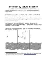 Whereby organisms with the best genetic adaptations will survive and reproduce. Darwin S Natural Selection Worksheet
