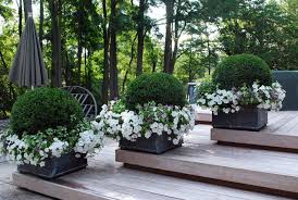 decorate your deck with plants tickabout