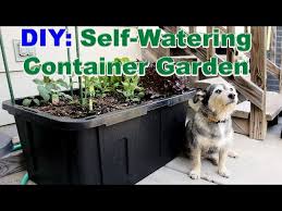 Diy Self Watering Container Garden