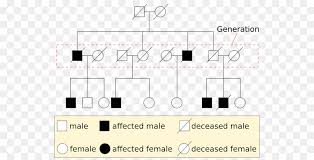 Pedigree Chart Genetics Mendelian Inheritance Bloodstain