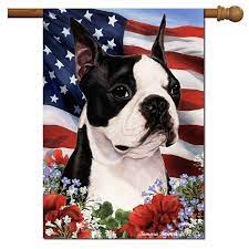 Boston Terrier Flag Patriotic Flowers