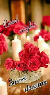 Good Night | Good night blessings, Good night wishes, Good night sweet  dreams