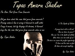 19 quotes from the rose that grew from concrete: 2pac Quotes About Peace 49 Tupac Wallpaper Quotes On Wallpapersafari Dogtrainingobedienceschool Com