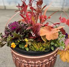 Container Of The Month Portland Nursery
