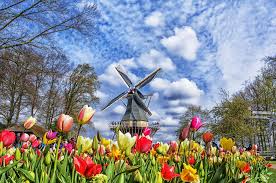 Book your tickets & tours of keukenhof at best price only on distance from amsterdam airport: Keukenhof Amsterdam Isango De